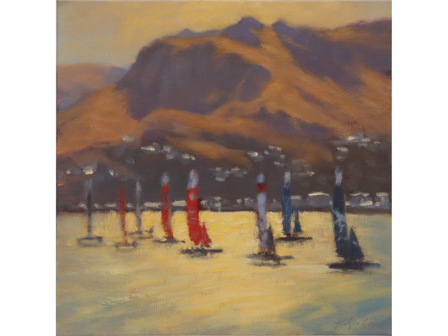 Sail GP from Diamond Harbour