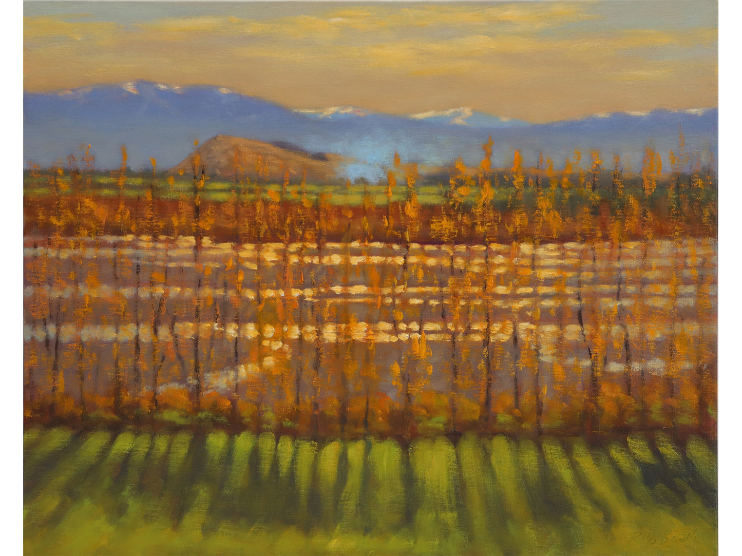 View Hill from the Waimakariri River