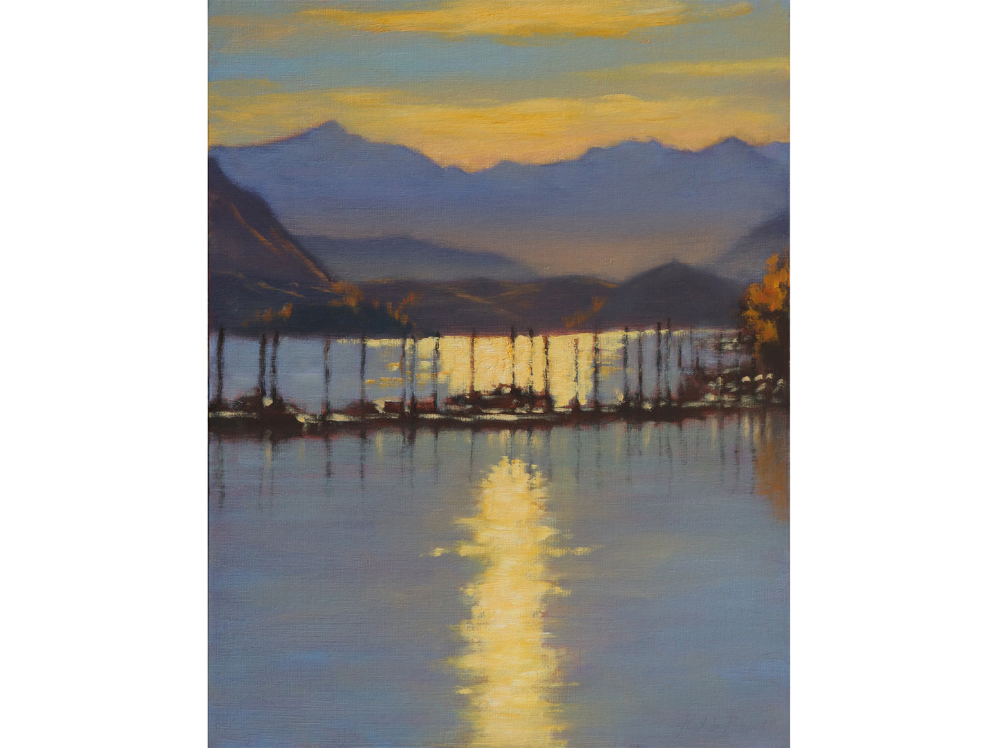 Wanaka Marina