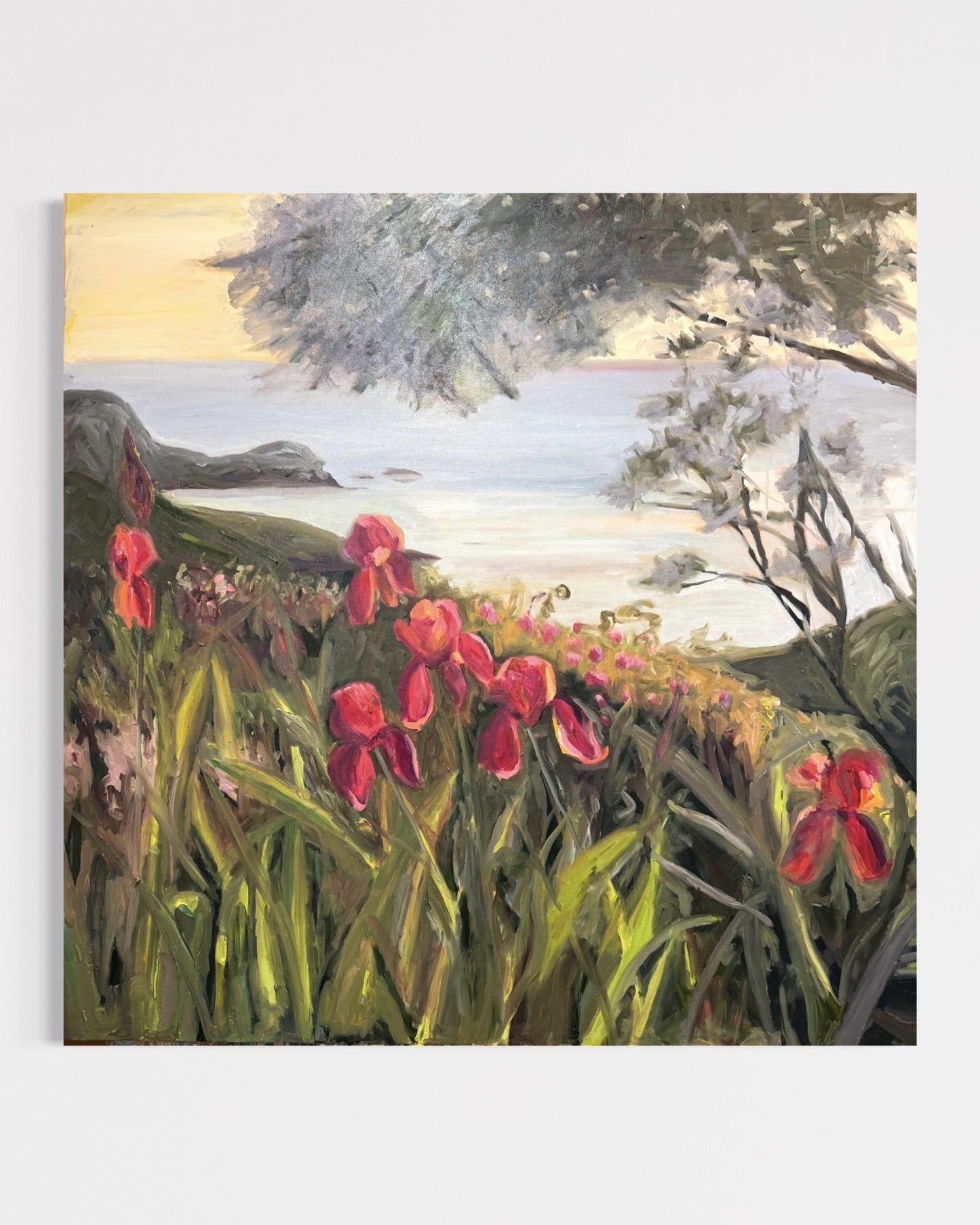 The Irises of Fisherman’s Bay, Akaroa