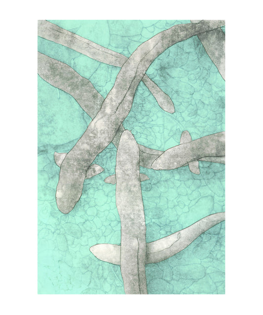 Eels on the Riverbed - A3 Giclée print