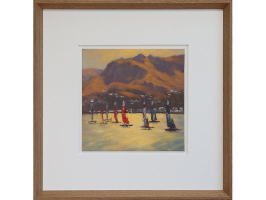 Sail GP from Diamond Harbour