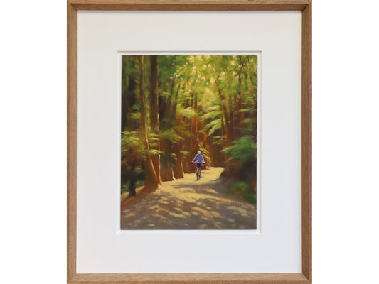 Mountain Biker on The Timber Trail