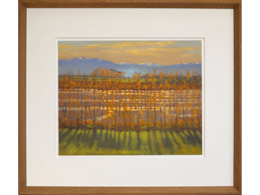 View Hill from the Waimakariri River