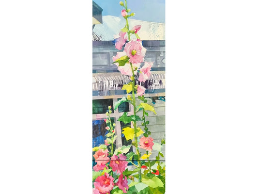 Hollyhocks in Akaroa II