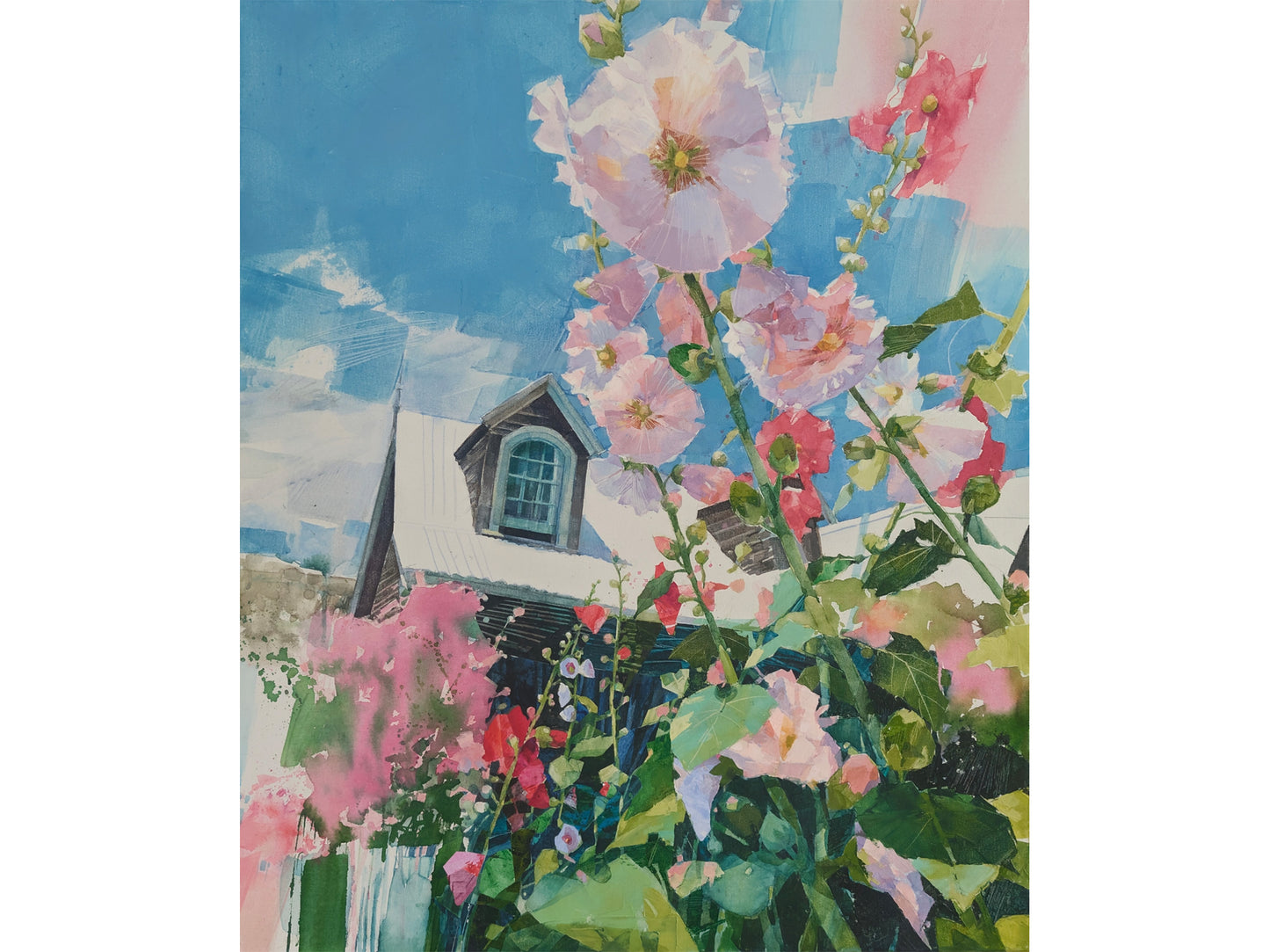 Hollyhocks in Akaroa I