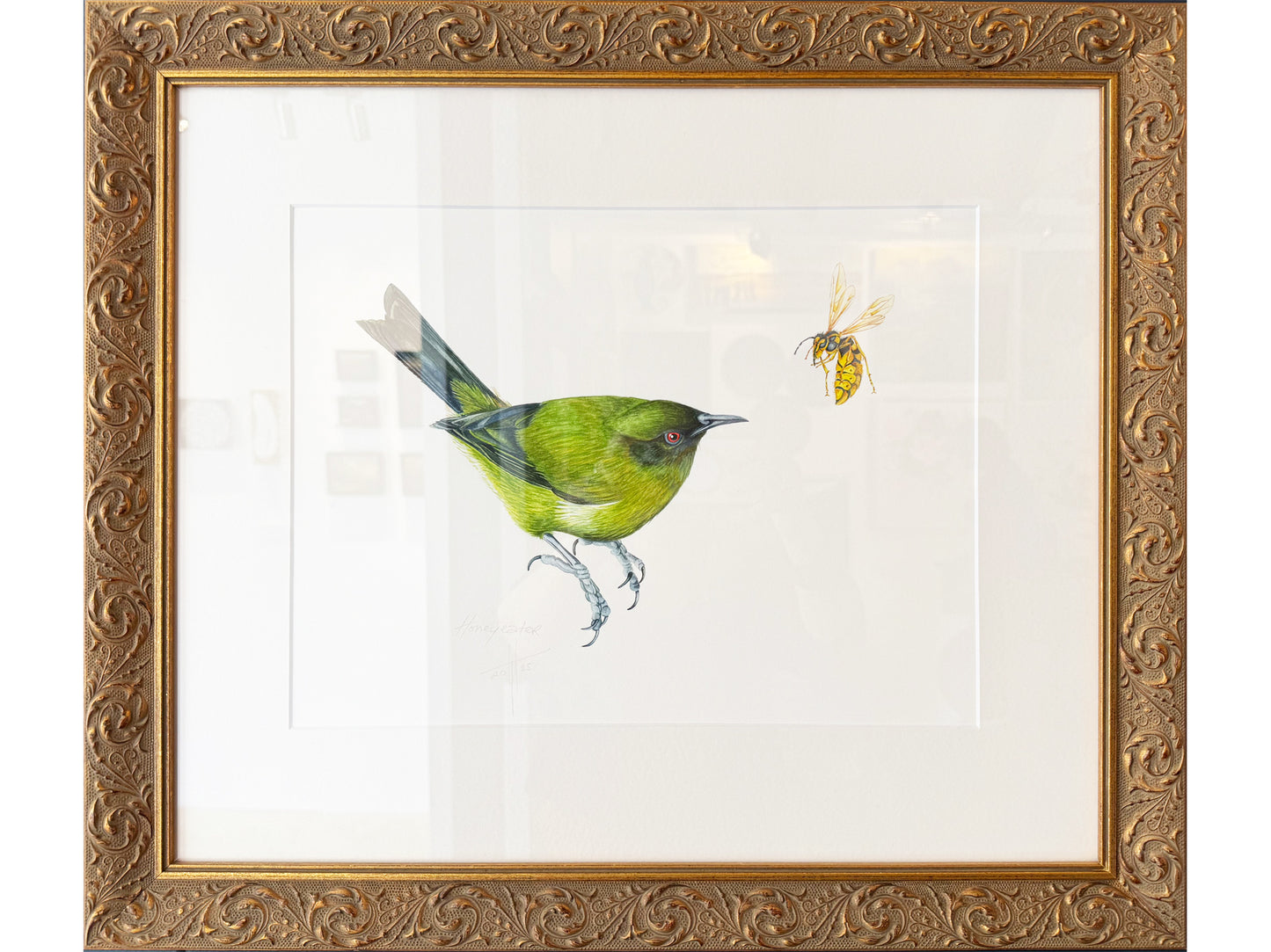 Honeyeater - original painting