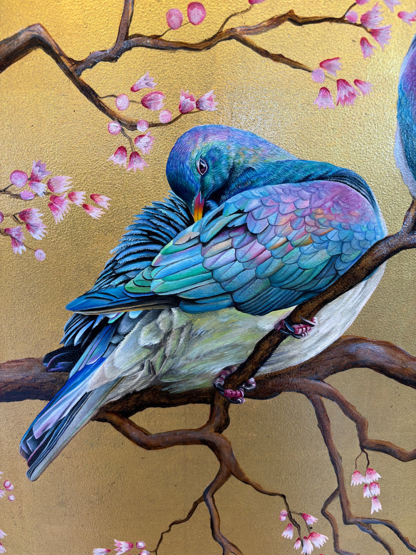 Kererū Amidst the Blossoms