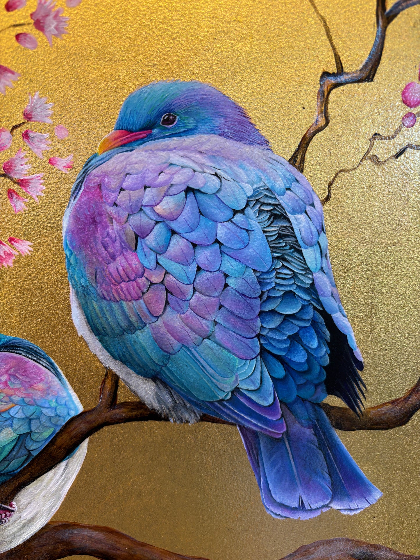 Kererū Amidst the Blossoms