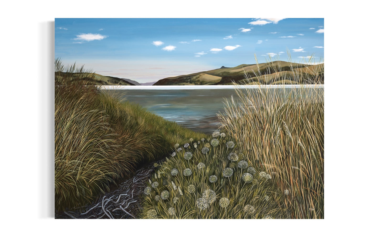 Head of the Bay, Looking South