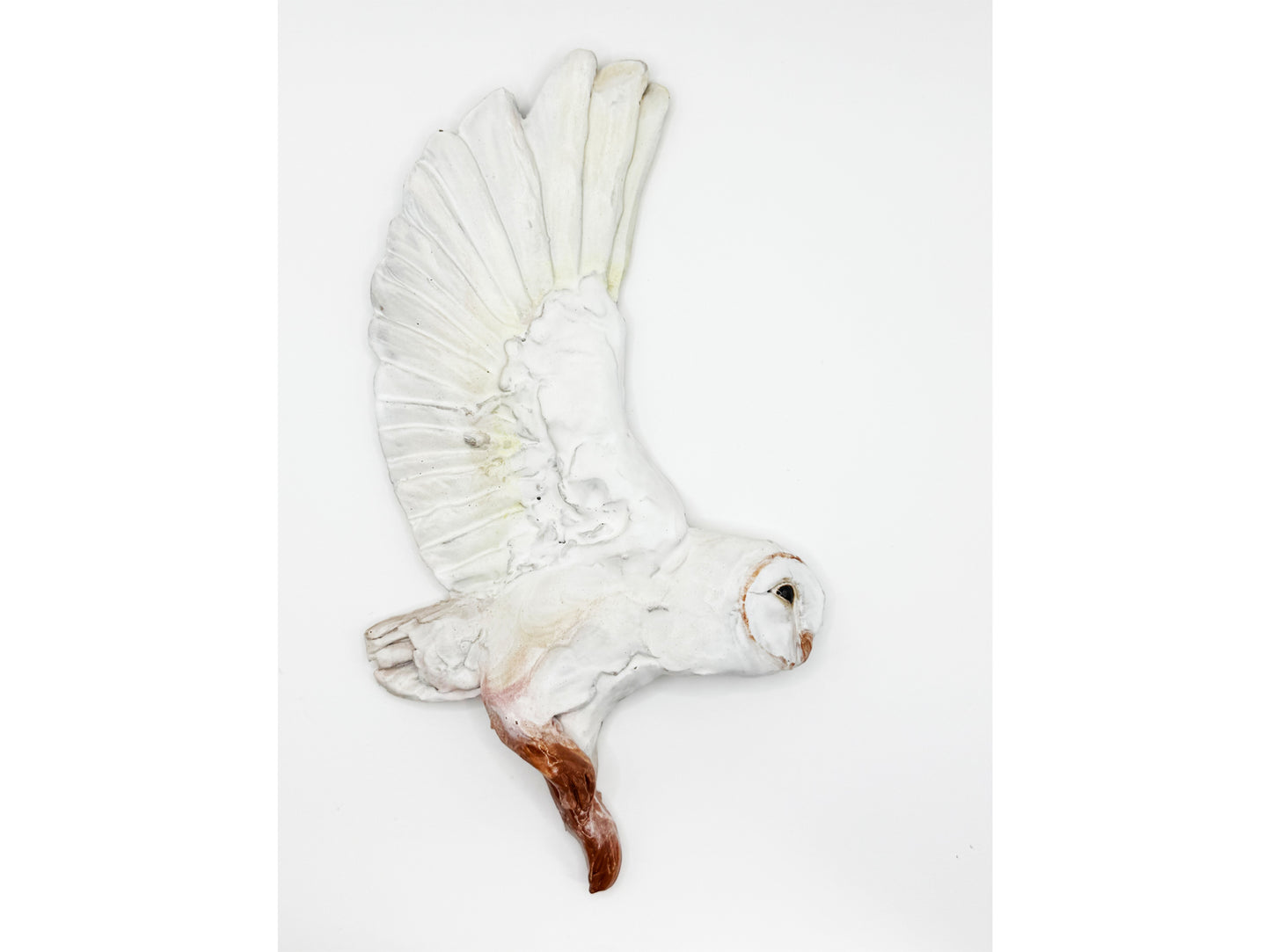 Owl - single wing flight