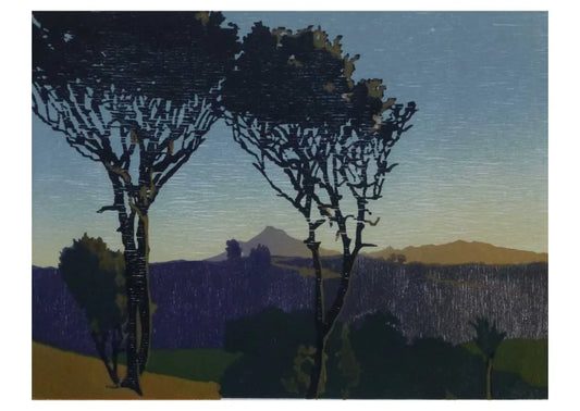 Late Afternoon, Mount Taranaki unframed