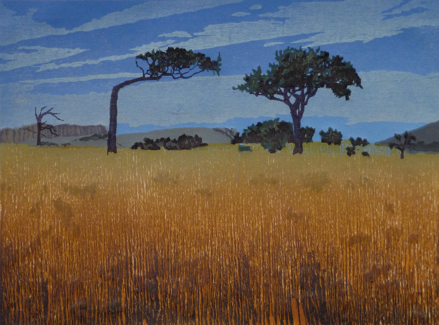 Midsummer, Menzies Bay Framed