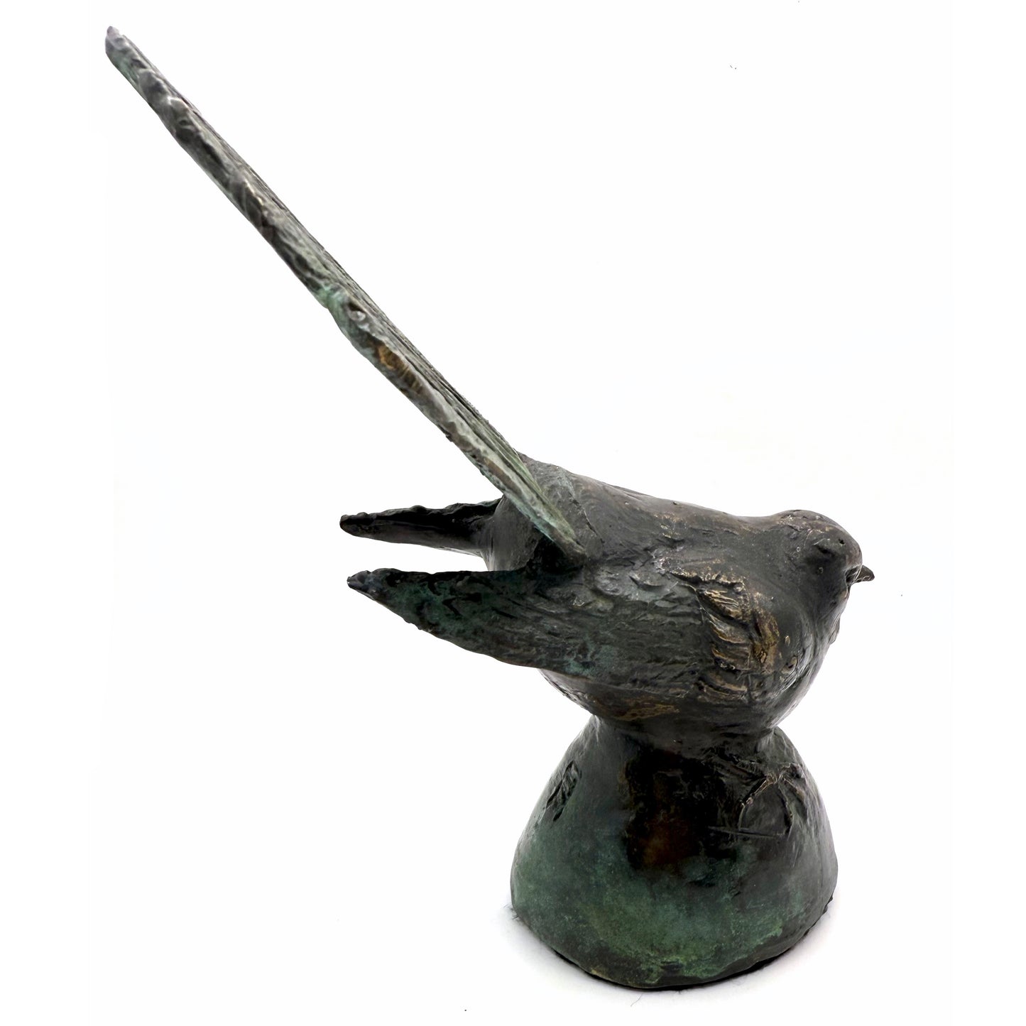 Piwakawaka