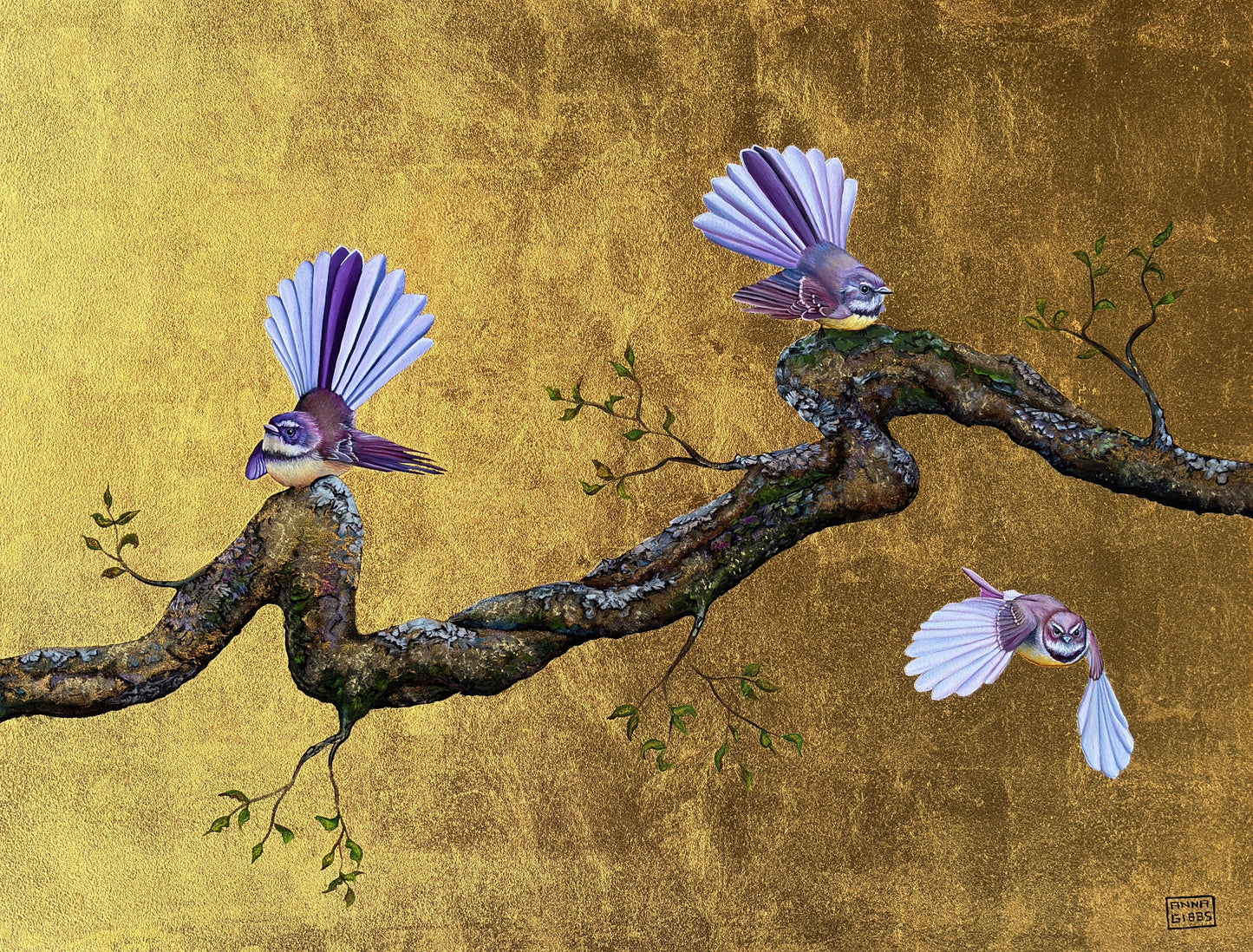 Pīwakawaka Dancing on Lichen