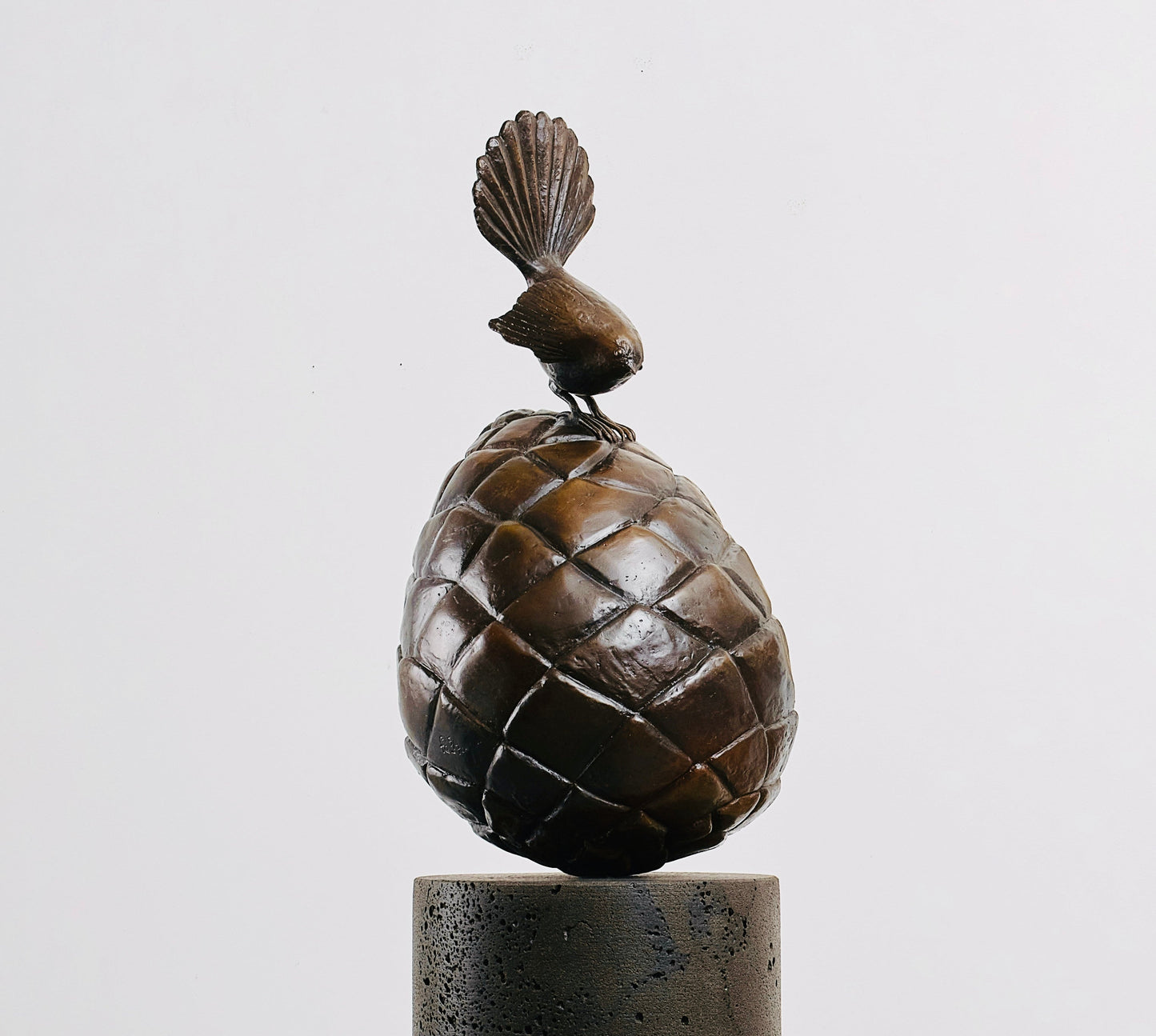 Piwakawaka & the Pinecone