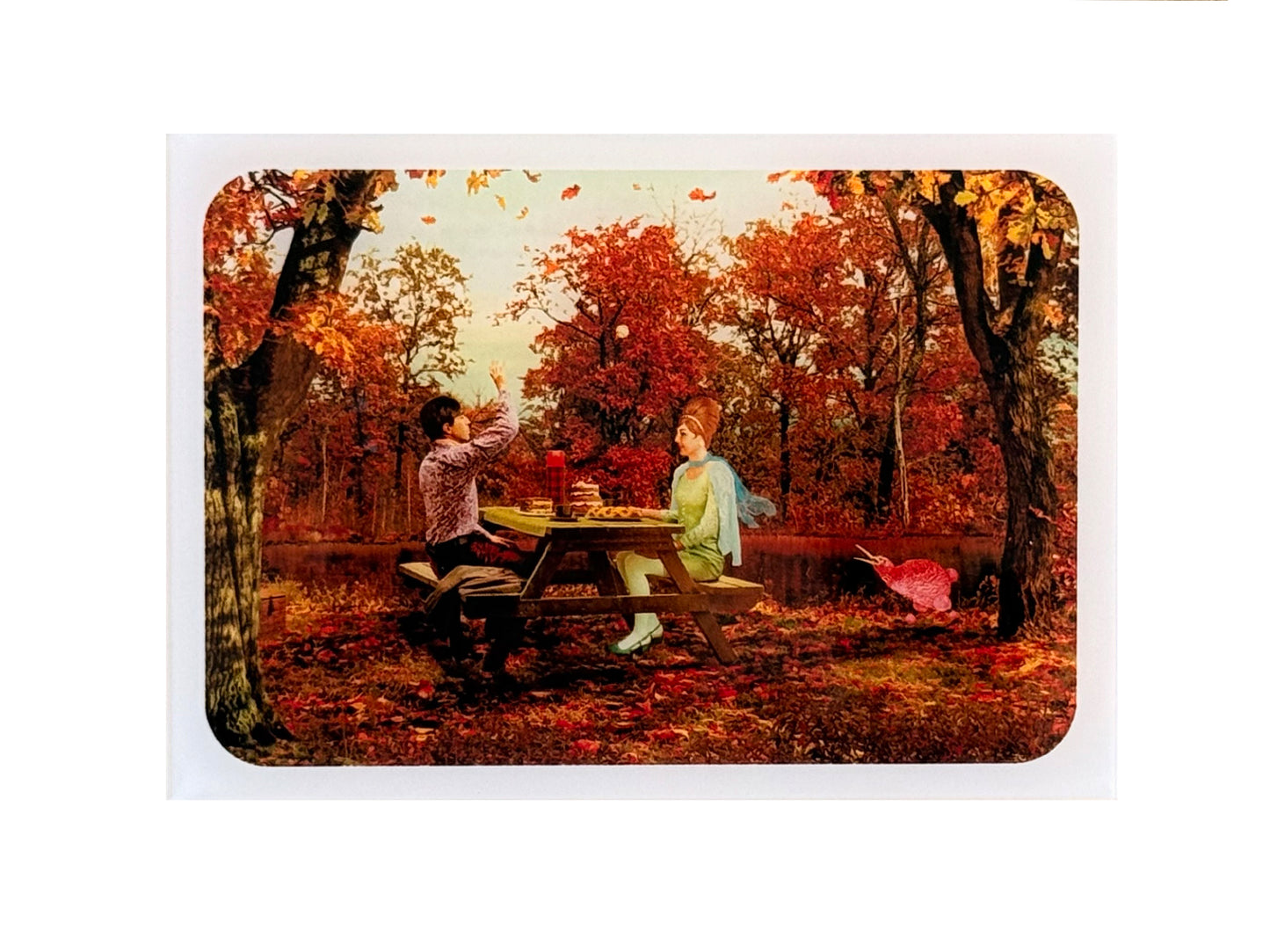 Kiwi Diorama - Autumn - Small