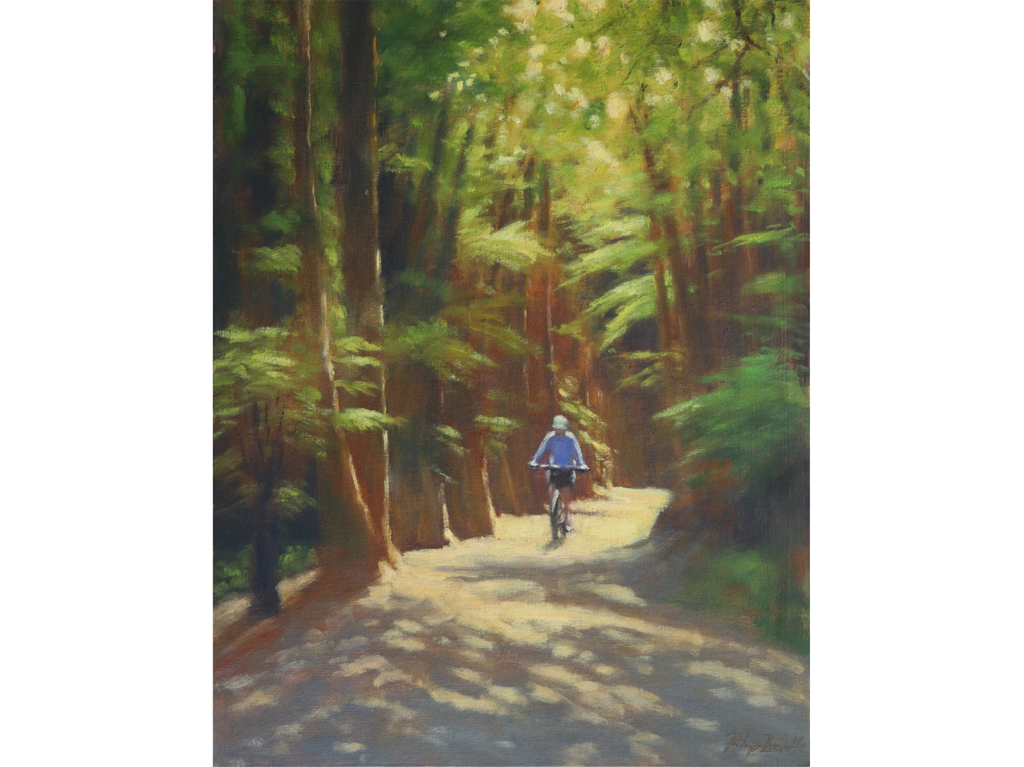 Mountain Biker on The Timber Trail