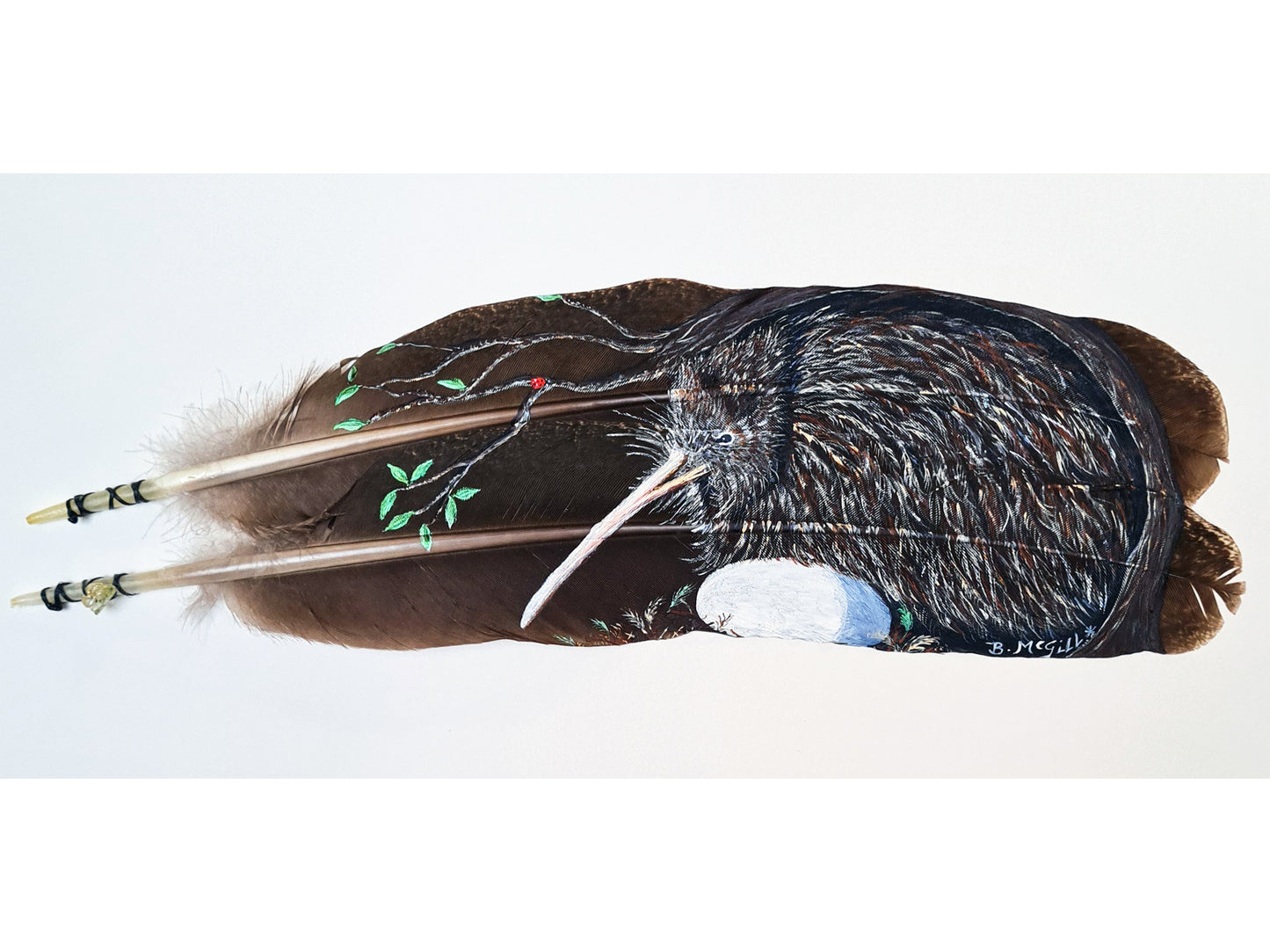 Brown Kiwi and Egg