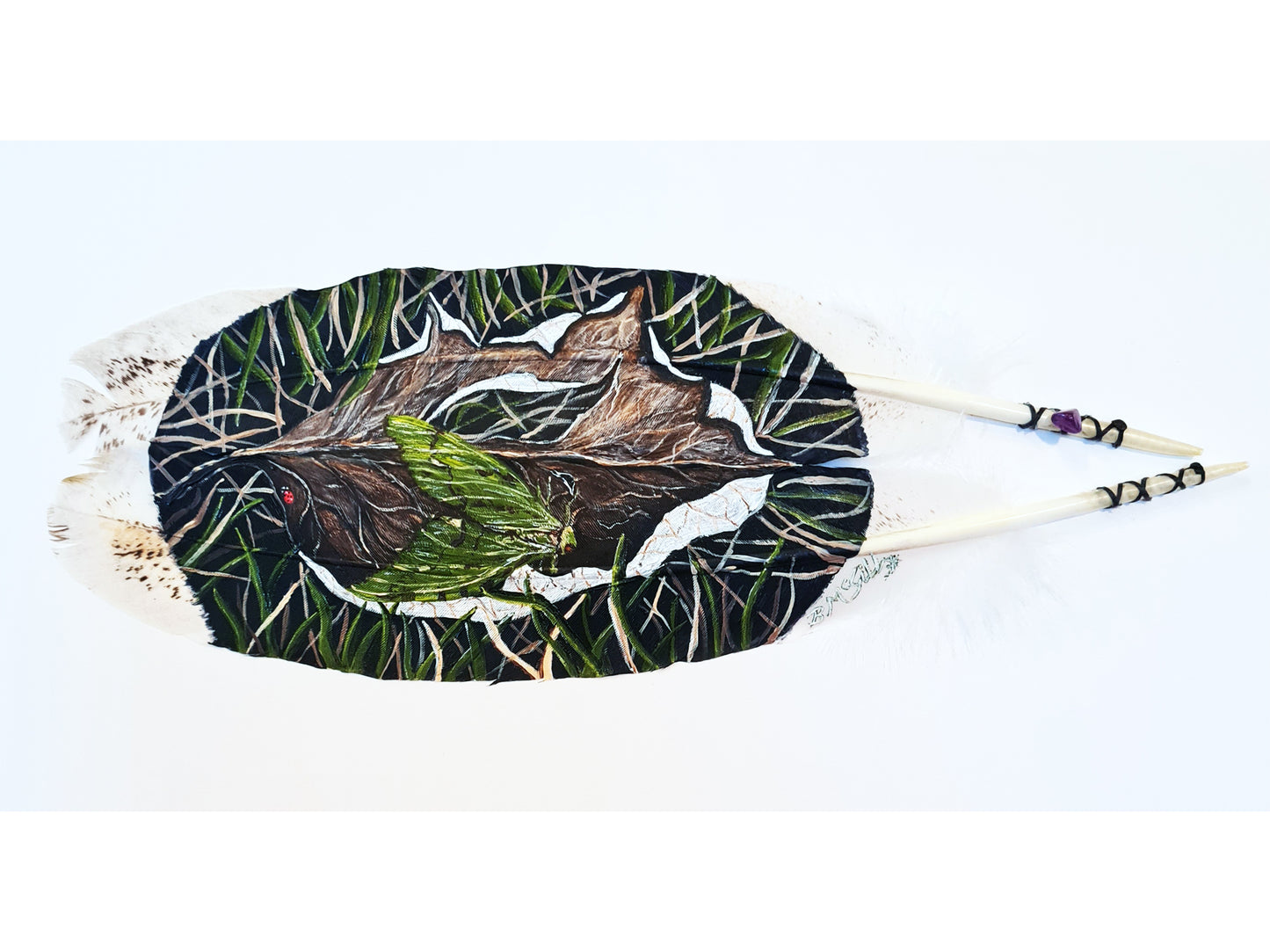 Puriri Moth