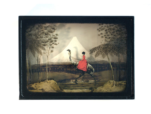 Moa Diorama Taranaki