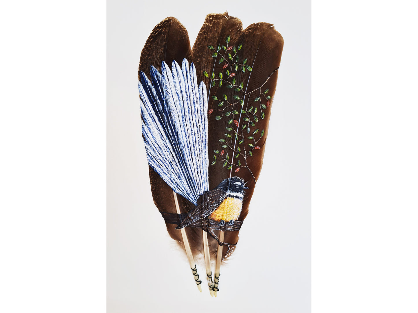 Fantail / Pīwakawaka