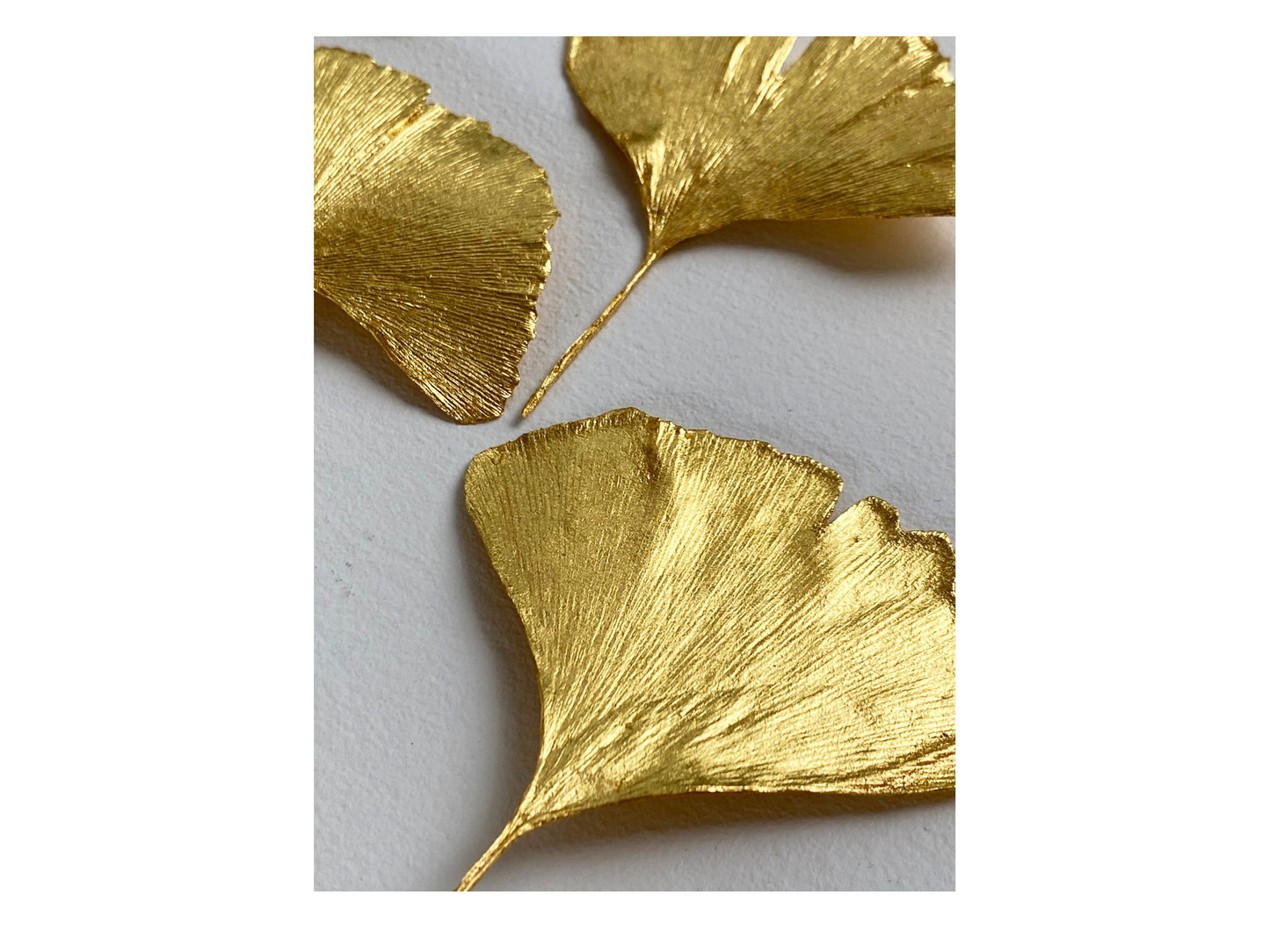 Wall Jewellery - Ginkgo
