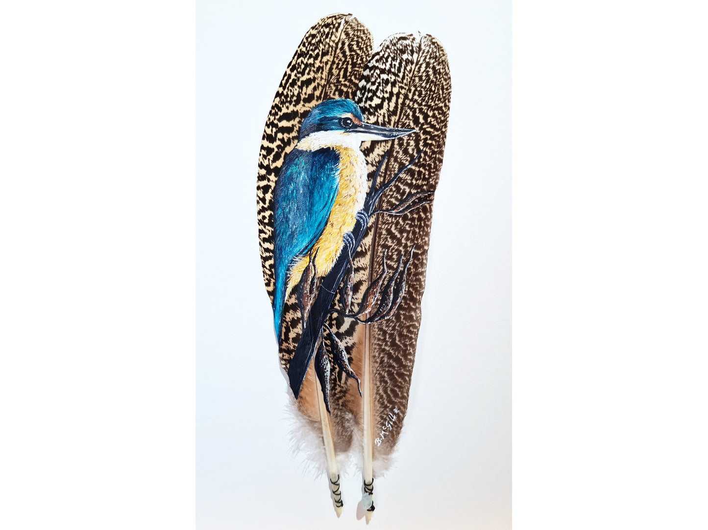 Kingfisher / Kōtare