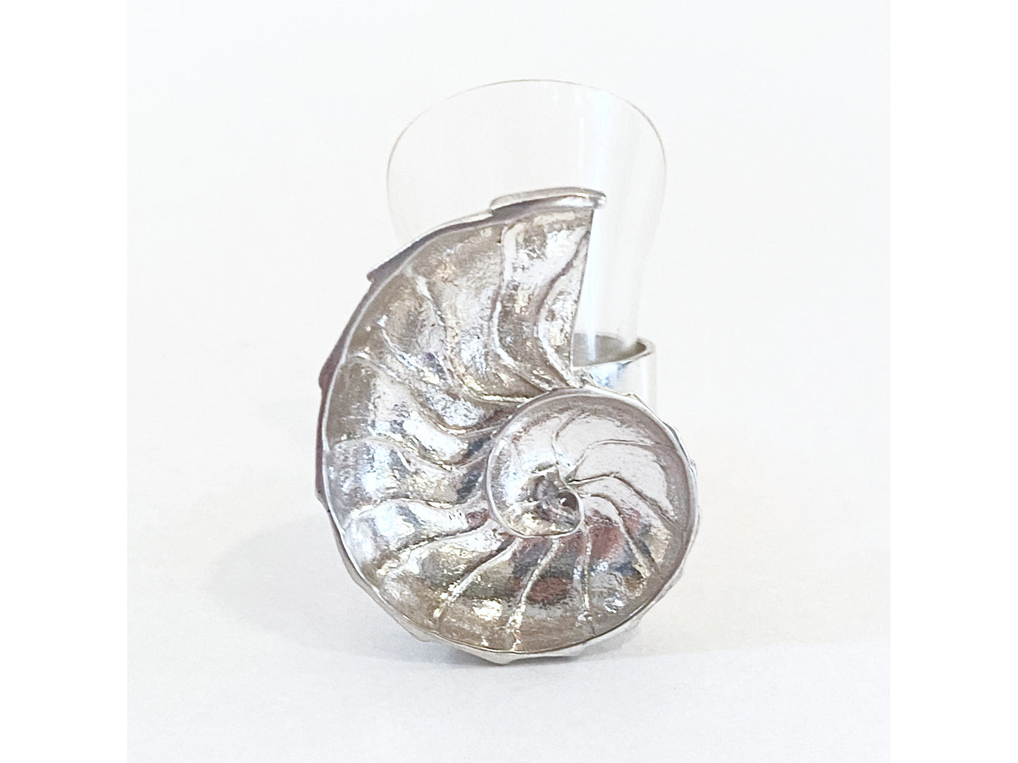 Big Nautilus Ring