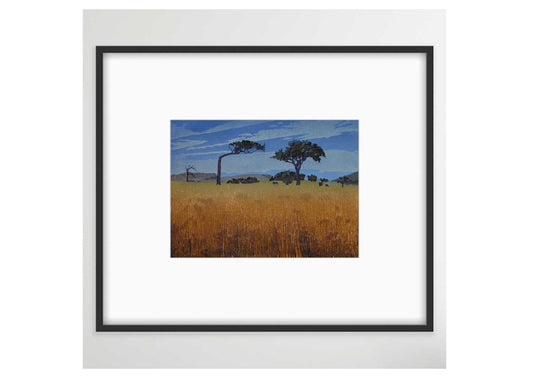 Midsummer, Menzies Bay Framed