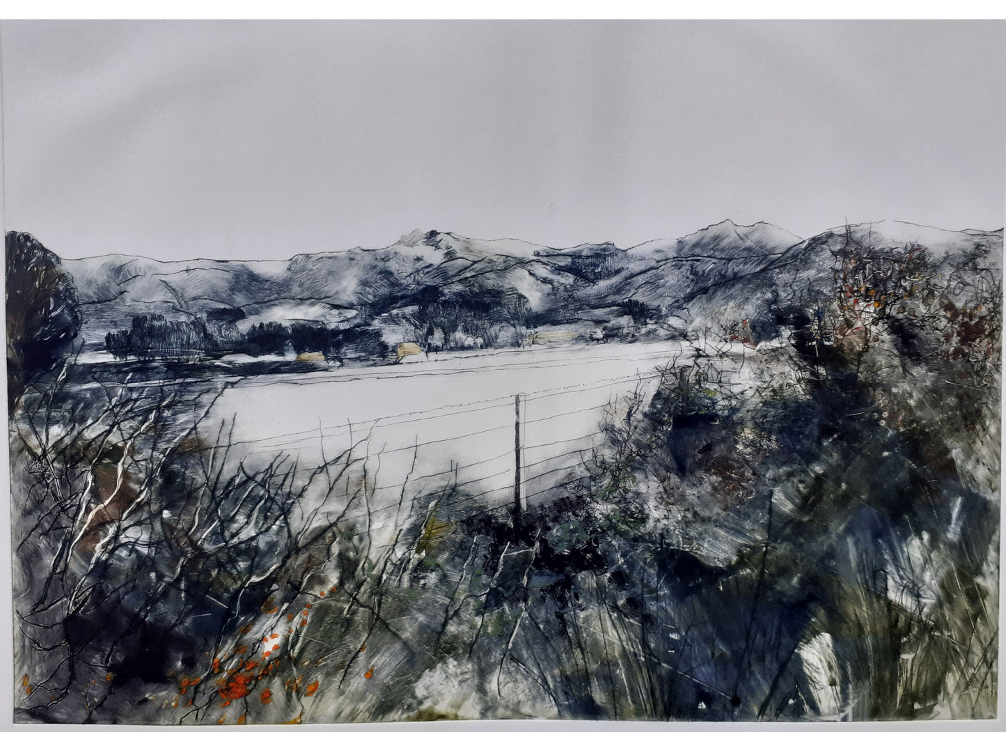 Muelembecia Complexa