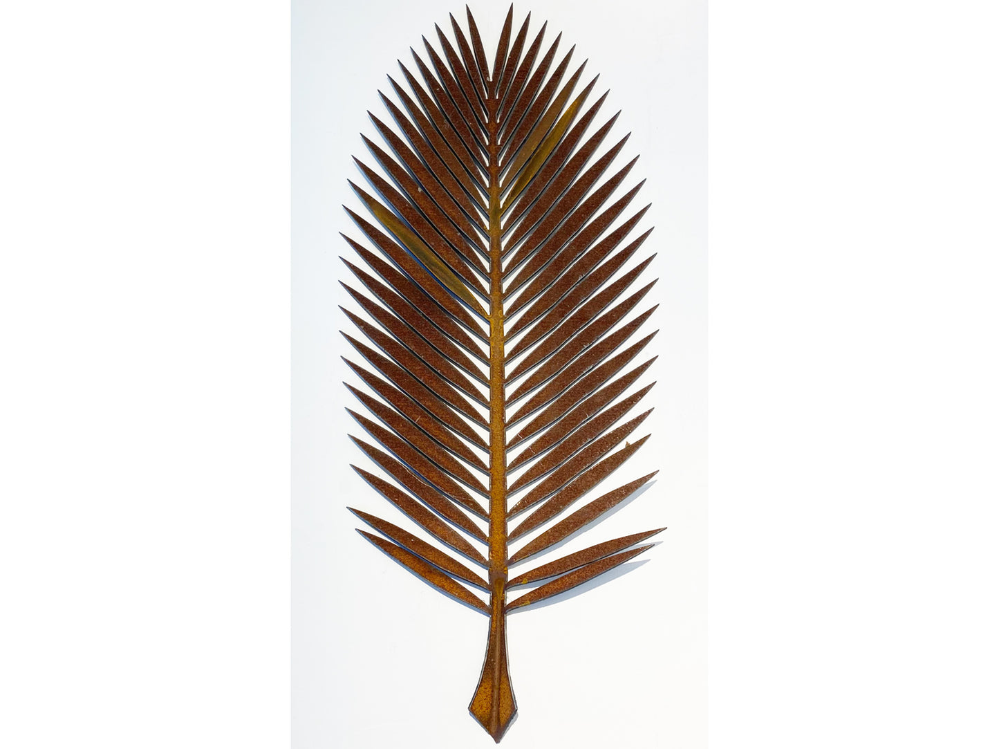 Nikau