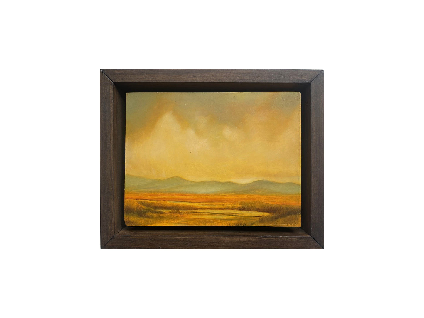 Ochre Plains I