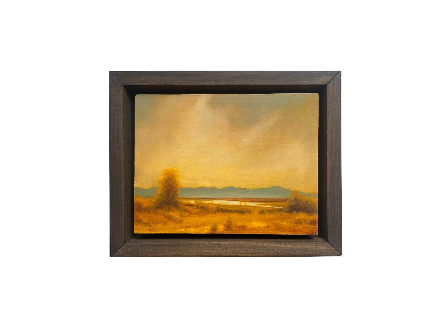 Ochre Plains III