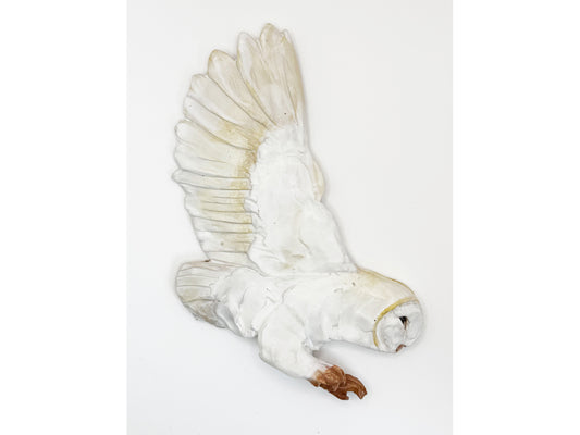 Owl - Single Wing