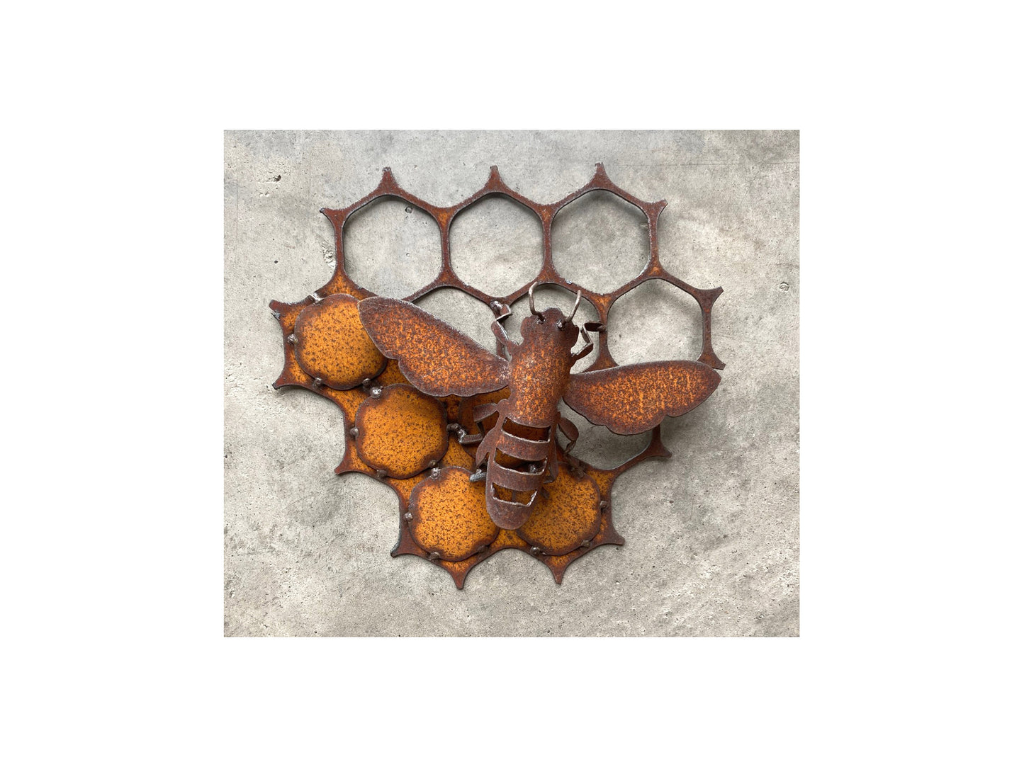 Honeycomb & small bees