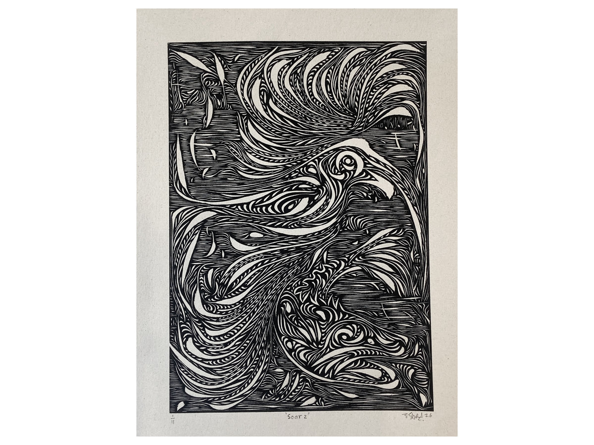 Soar 2