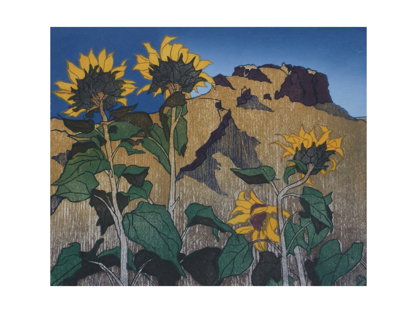 Sunflowers