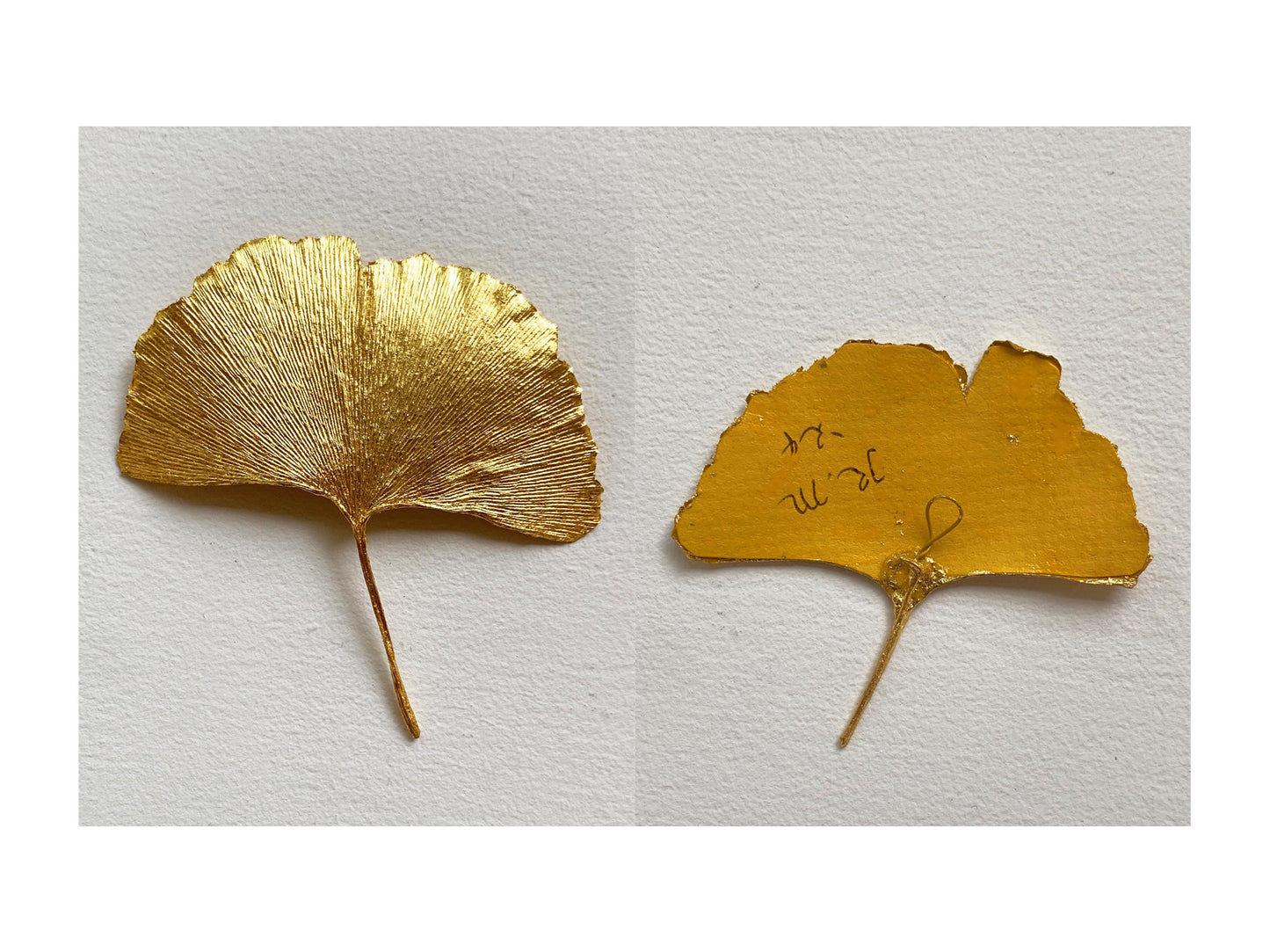 Wall Jewellery - Ginkgo