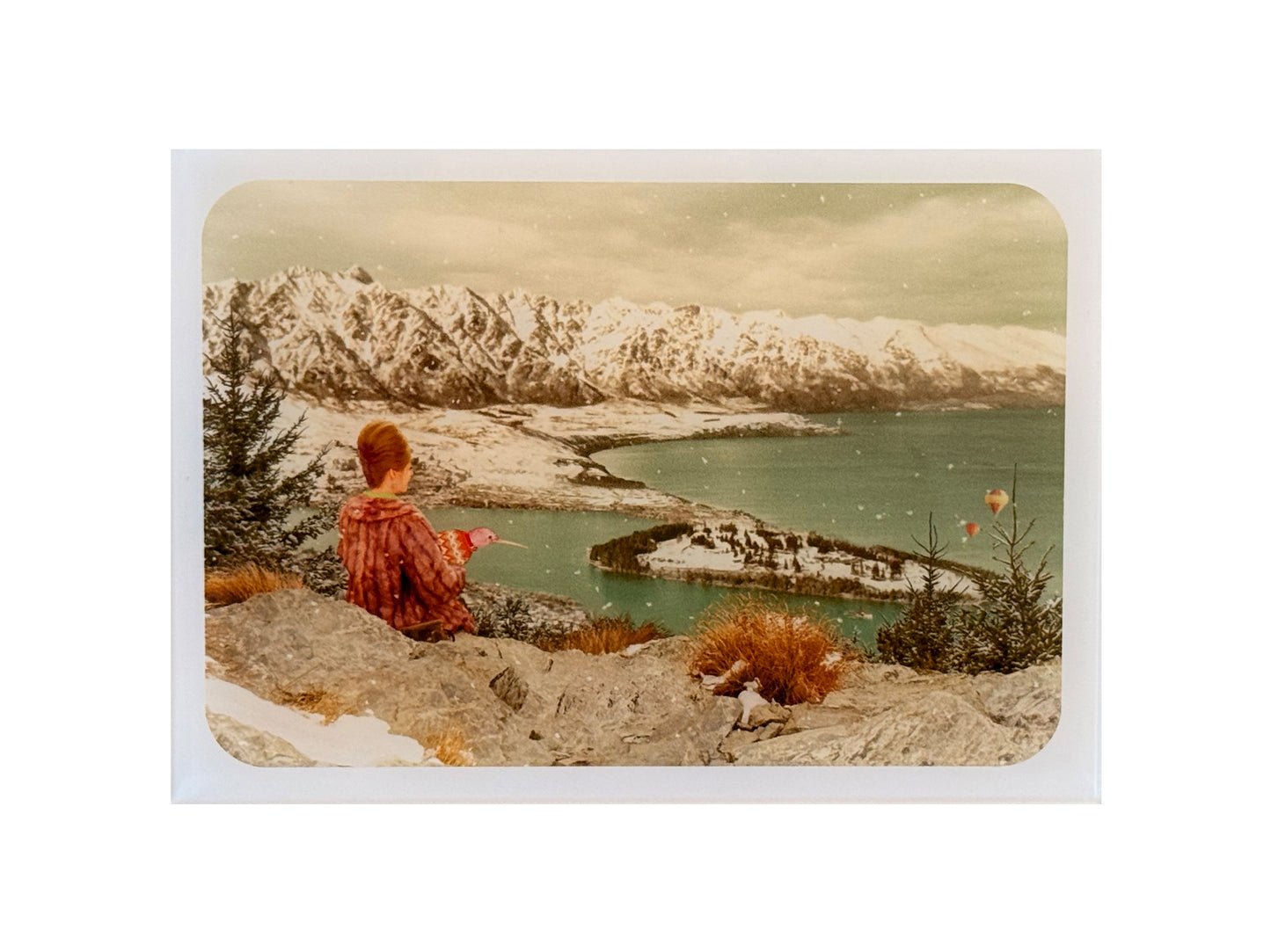 Kiwi Diorama - Winter - Small