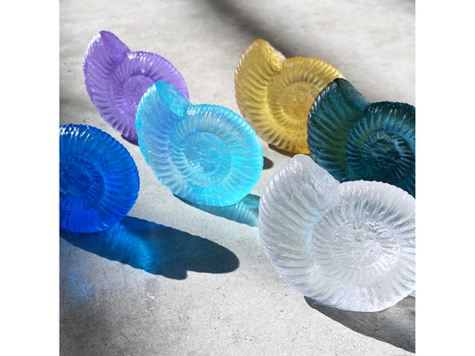 Ammonite