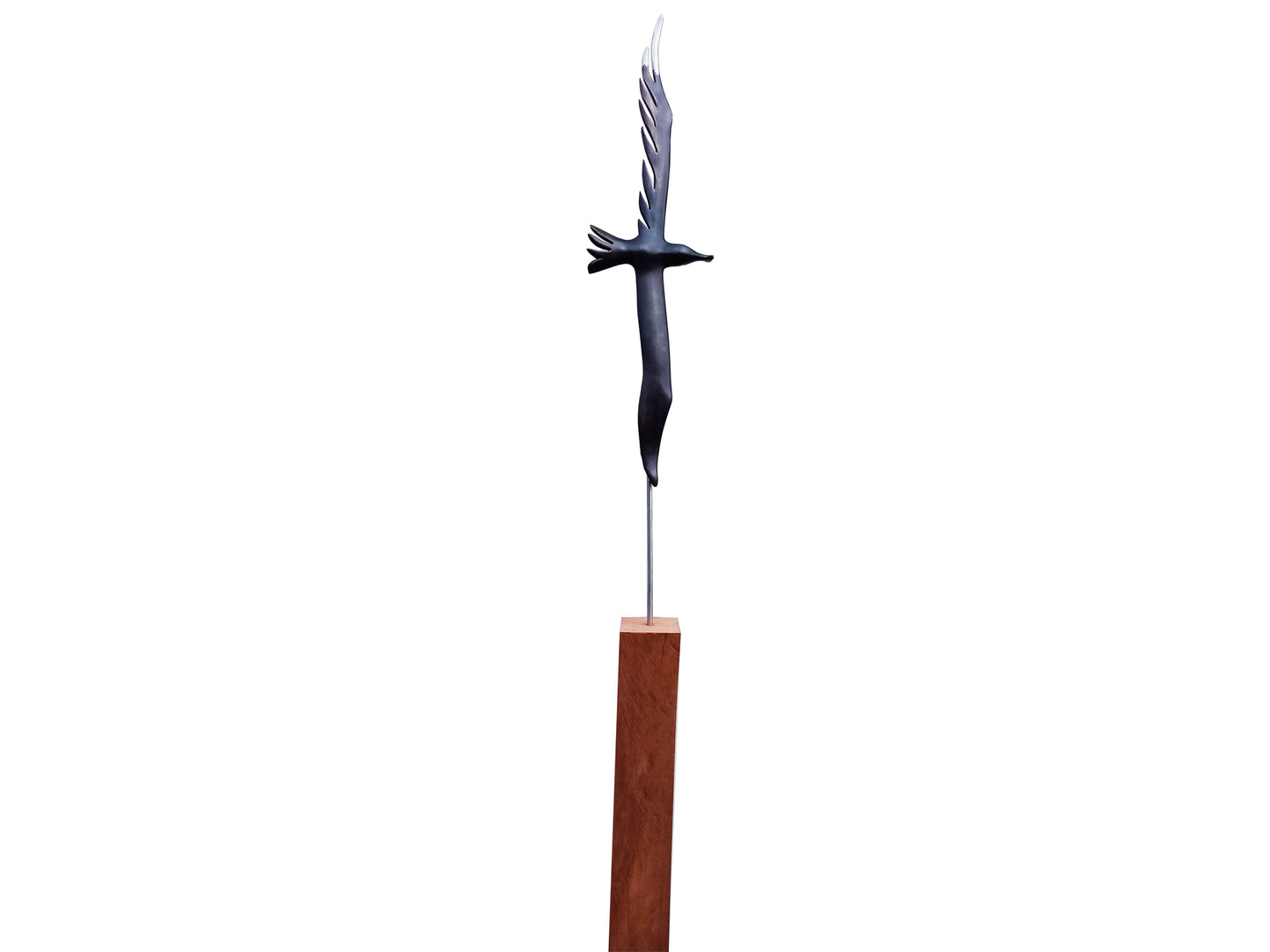 Albatross on wooden plinth