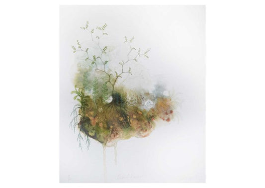 DWARF KOWHAI
Rebecca Smallridge
Unframed giclée print
250mm x 305mm
$200

Limited edition of 30 1