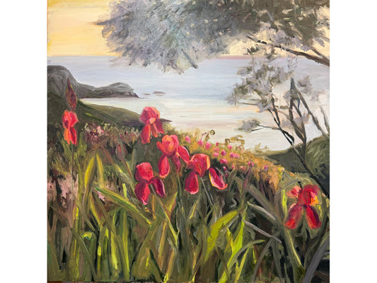 The Irises of Fisherman’s Bay,  Akaroa