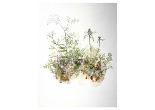 FOREST ORCHID
Rebecca Smallridge
Watercolour, ink & natural pigment on board
300 x 397mm
$890 4