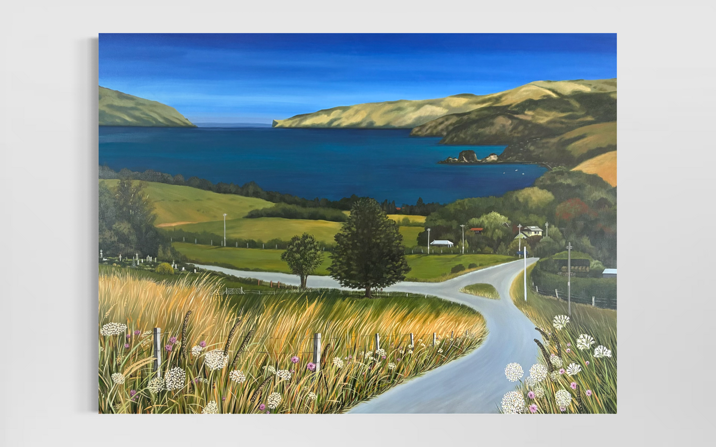 Warnervilles lookout, Wainui