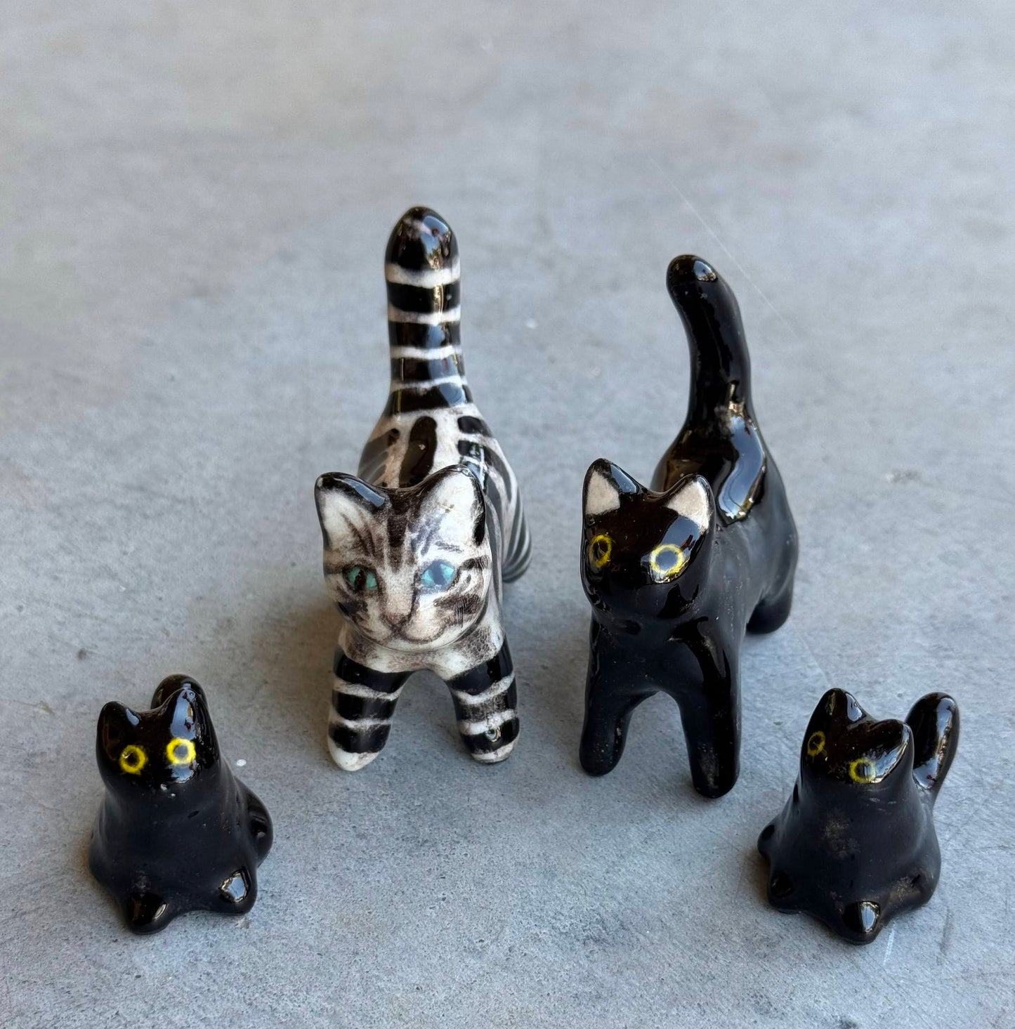 Cat Family