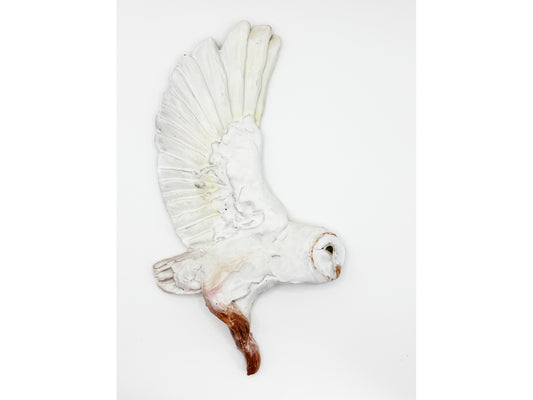 Owl - single wing flight