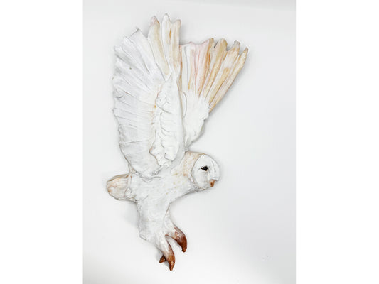 Owl double wing ascent