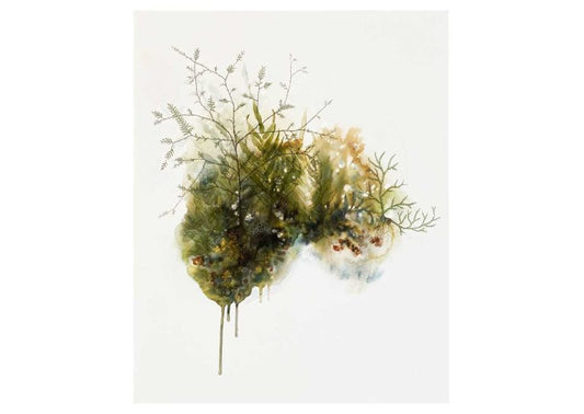 KAHIKATEA BIOSPHERE
Rebecca Smallridge
Unframed giclee print
406 x 508mm
$330

Limited edition of 30 3